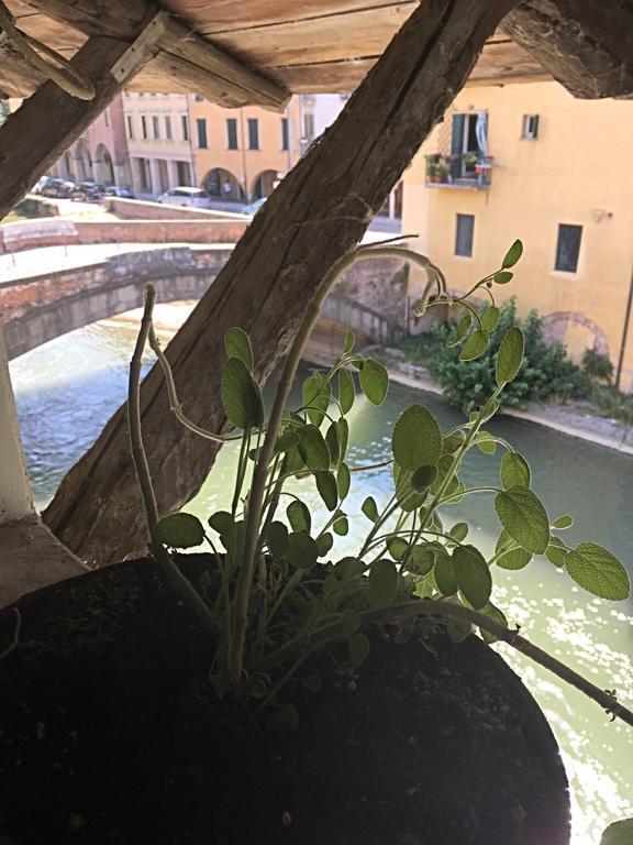 Mansardina Artista Apartman Padova Kültér fotó